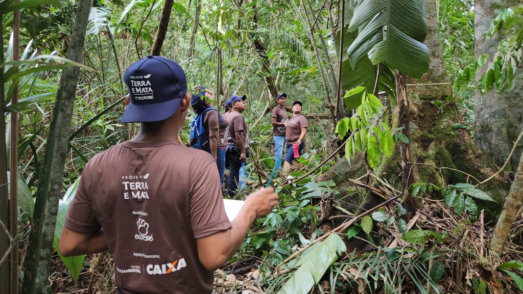Beneficiários em meio à árvores