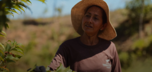 Sueli Nocera, beneficiária do Terra e Mata admira propriedade (Foto: Acervo Ecoporé)